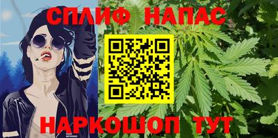 прущие грибы Ирбит