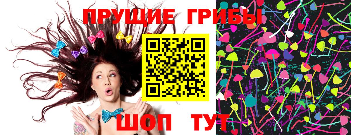 Псилоцибиновые грибы GOLDEN TEACHER Лесосибирск